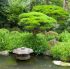 Water Features For Your Garden
