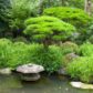 Water Features For Your Garden