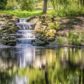 Water Features For Your Garden