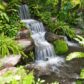 Water Features For Your Garden