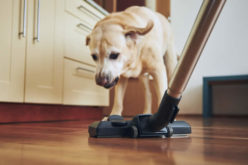 Affordable Flooring Styles for Luxurious Kitchens