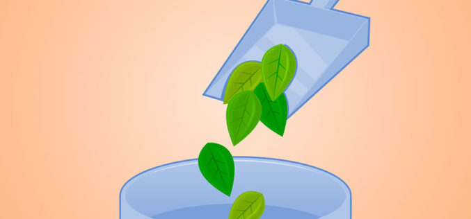 Intro for Green Cleaning Infographic