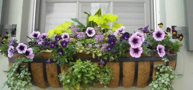 How To Install Window Boxes on Different Exteriors