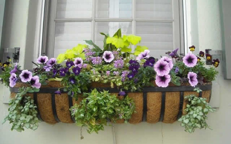 How To Install Window Boxes on Different Exteriors