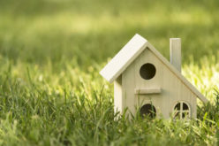 Creative Ways to Use Your Large Property