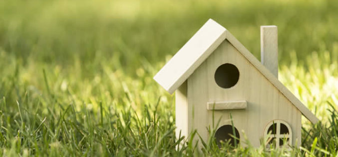 Creative Ways to Use Your Large Property