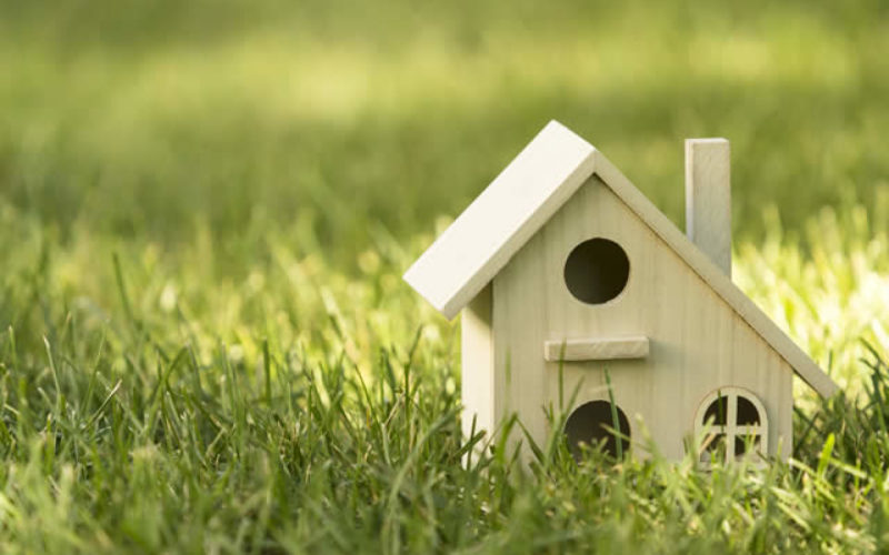 Creative Ways to Use Your Large Property