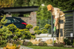 6 Landscaping Services to Leave to a Professional