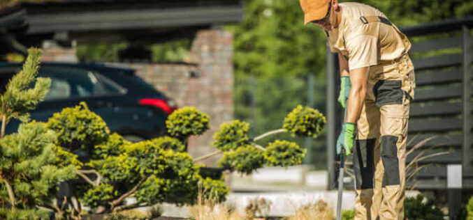 6 Landscaping Services to Leave to a Professional