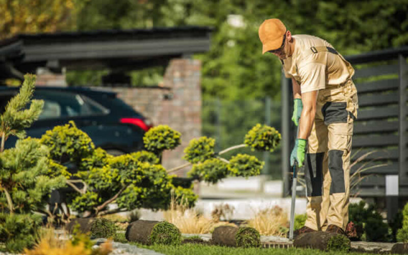 6 Landscaping Services to Leave to a Professional