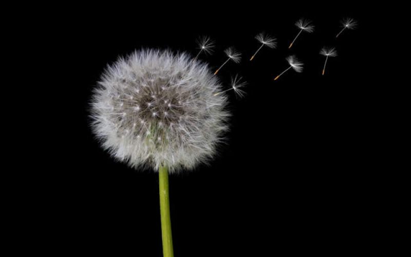 On Windy Days – How to Enjoy, Harness and Protect