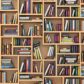 Interesting Way to Display Books and Nick-Naks