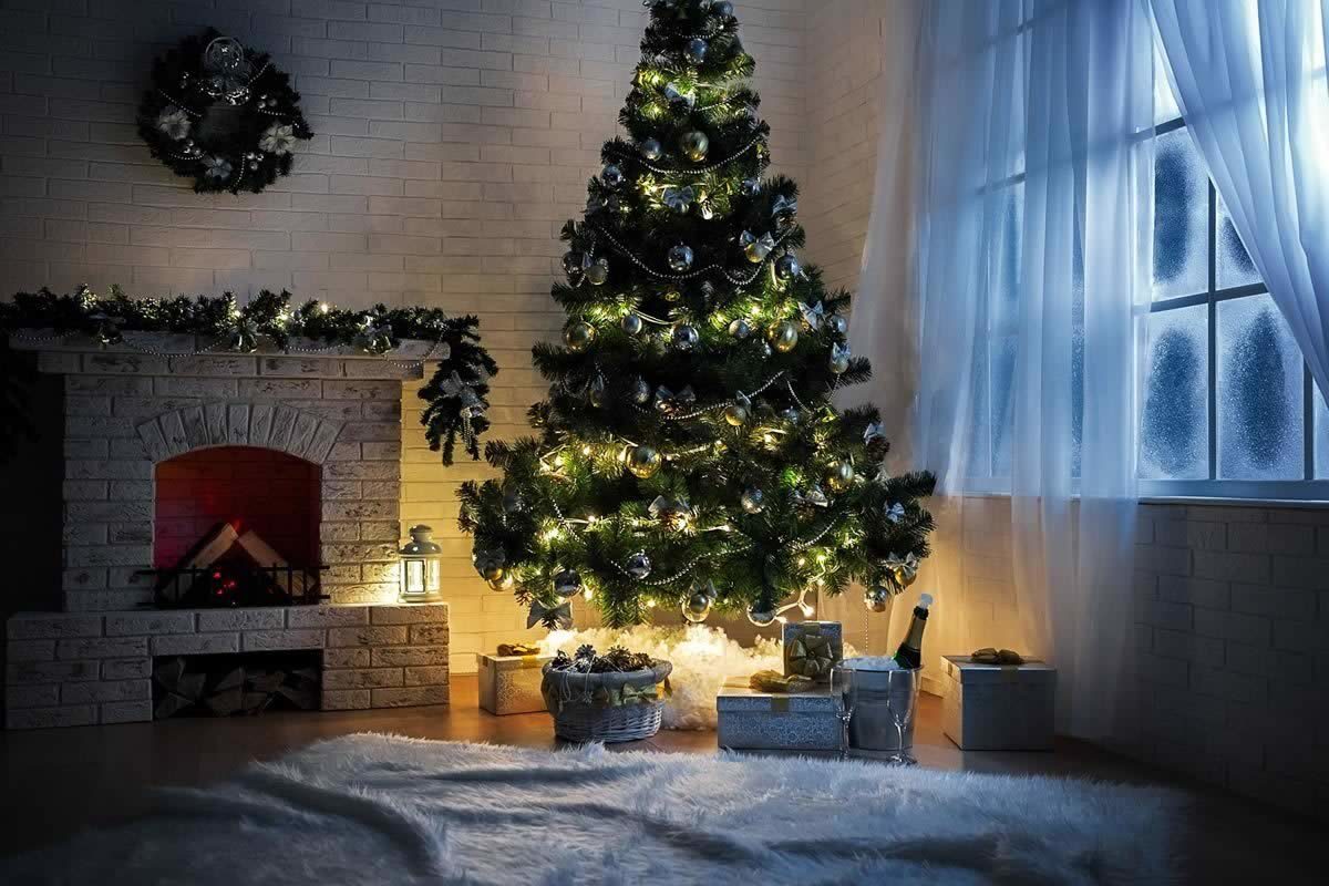 Decorating the Christmas Tree