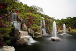 <span>photo analysis:</span> Looking to Install a Backyard Pond