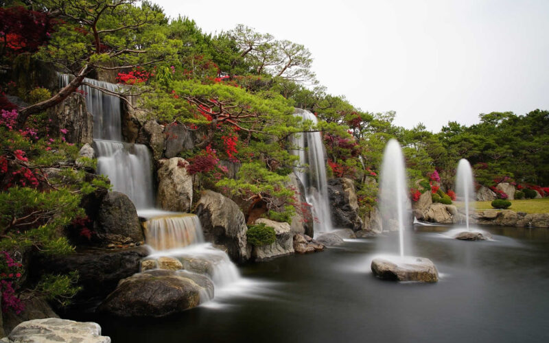 Backyard Pond
