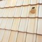 Picking Your Roof Shingle