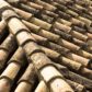 Picking Your Roof Shingle
