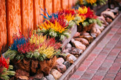 Get Creative: 5 Ways to Update Your Garden This Summer