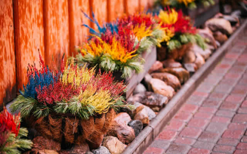 Get Creative: 5 Ways to Update Your Garden This Summer