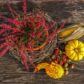 Thanksgiving Holiday Home Decor