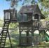 Backyard Fun and Adventure