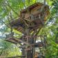 Backyard Fun and Adventure
