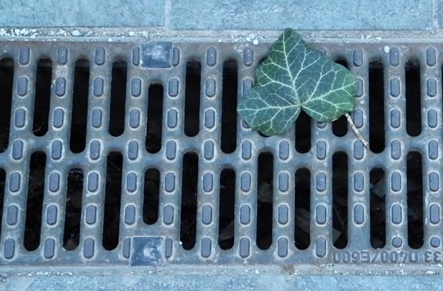 photo analysis: Designing A Better Yard Drainage System (Infographic ...