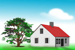 How Trees Can Ruin Your Roof