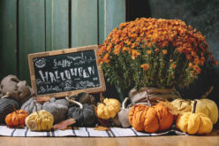 <span>landscaping (perennial flowers) – &nbsp;&nbsp;&nbsp;&nbsp;&nbsp;</span>Getting Ready for Fall (and Halloween)