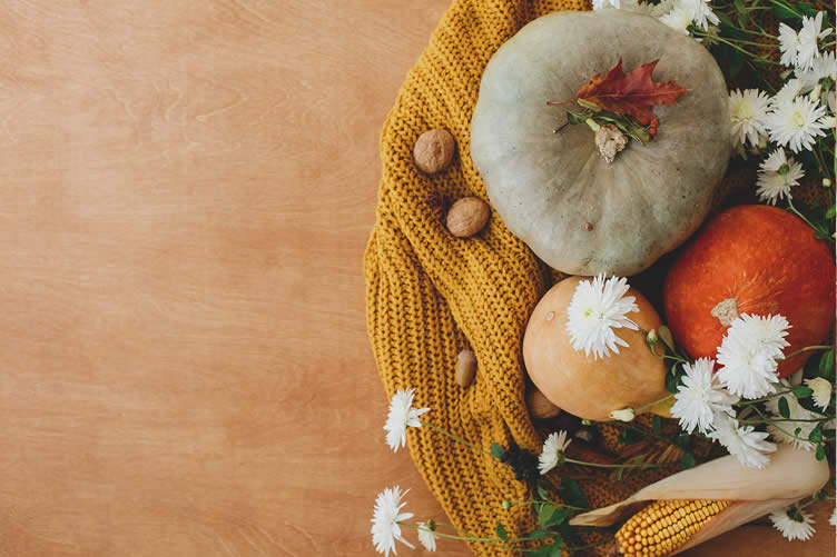 getting ready for fall