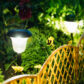 Lighting Up Your Yard n’ Garden