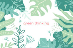 <span>topic analysis:</span>  Best Green Home Improvements During COVID-19