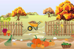 October Begins Today! What Happens In October?
