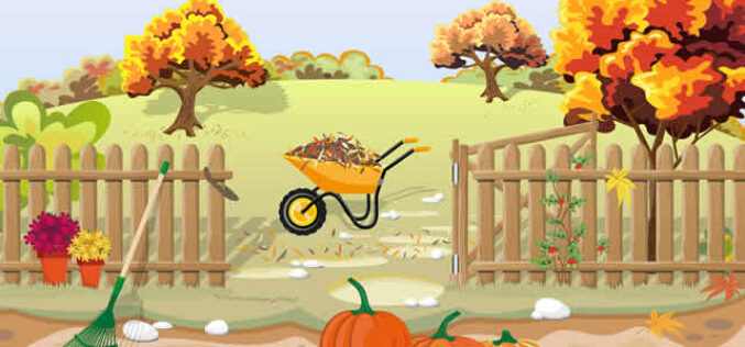 October Begins Today! What Happens In October?
