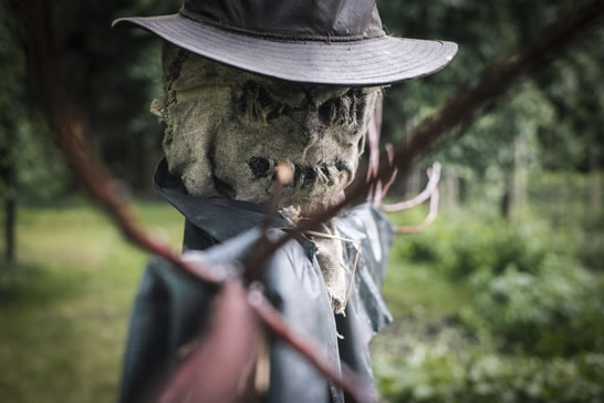 halloween scarecrows