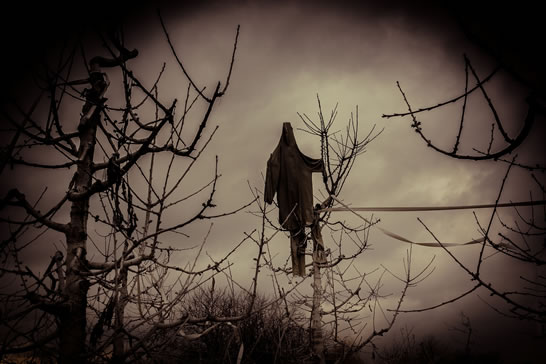 halloween scarecrows