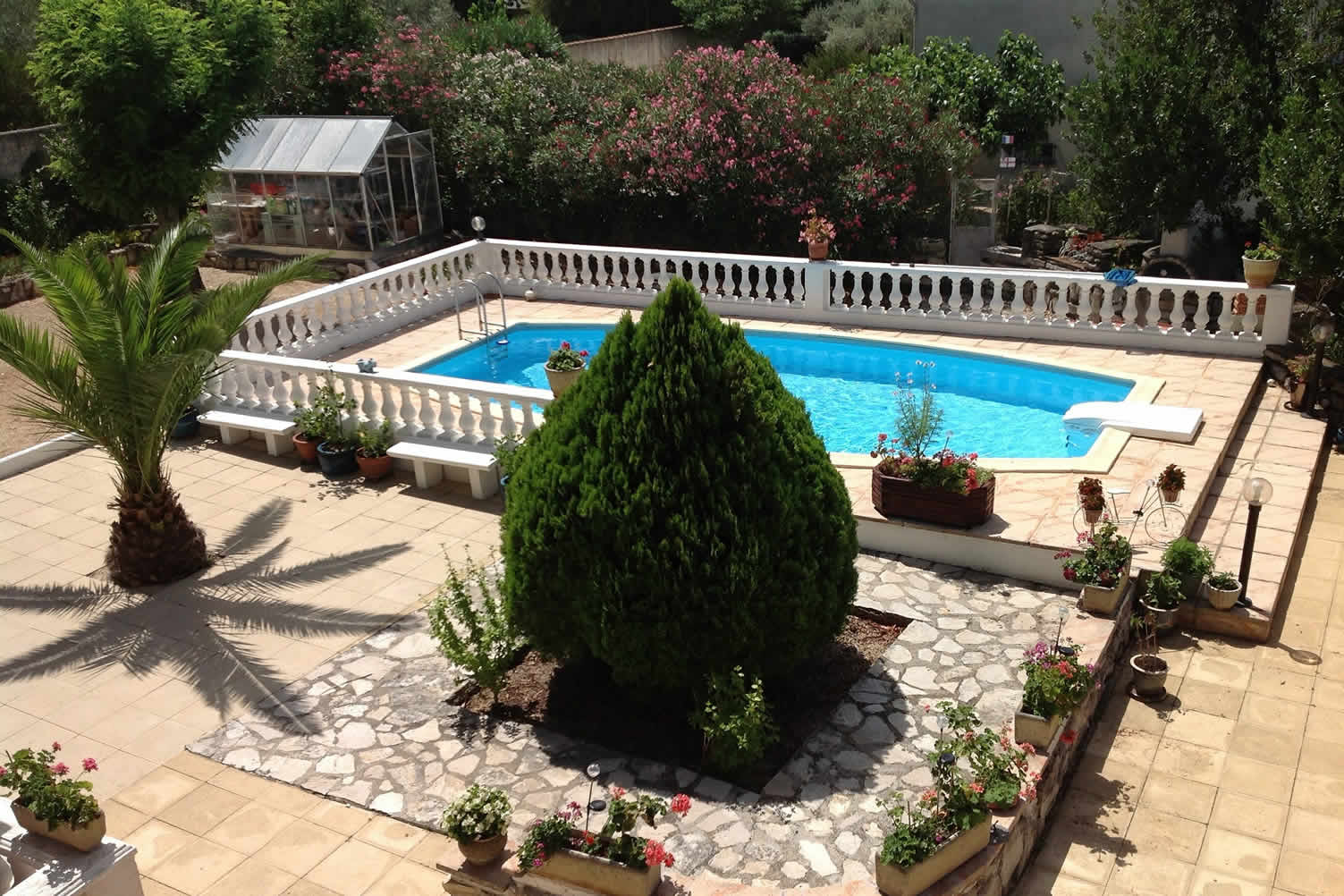 type of backyard pool