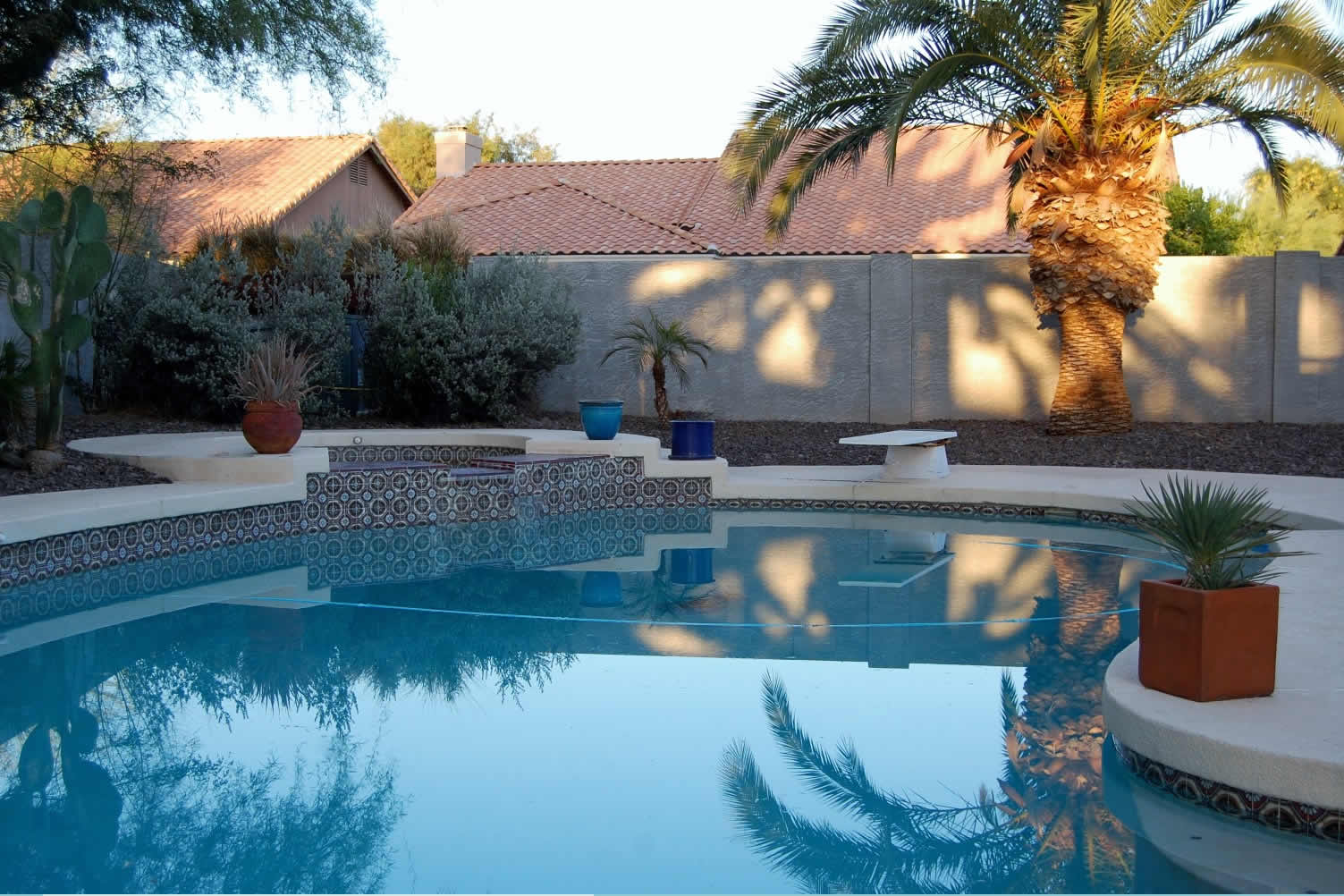 type of backyard pool