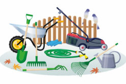 <span>analysis:</span>  Garden Power Tools You Definitely Need for Your Lawn and Garden