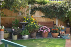 3 Simple Landscape Changes to Renovate Your Garden