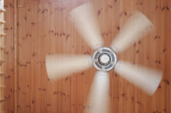 <span>analysis:</span>  Swap Out Your Boring Light Fixtures for Stylish Ceiling Fans