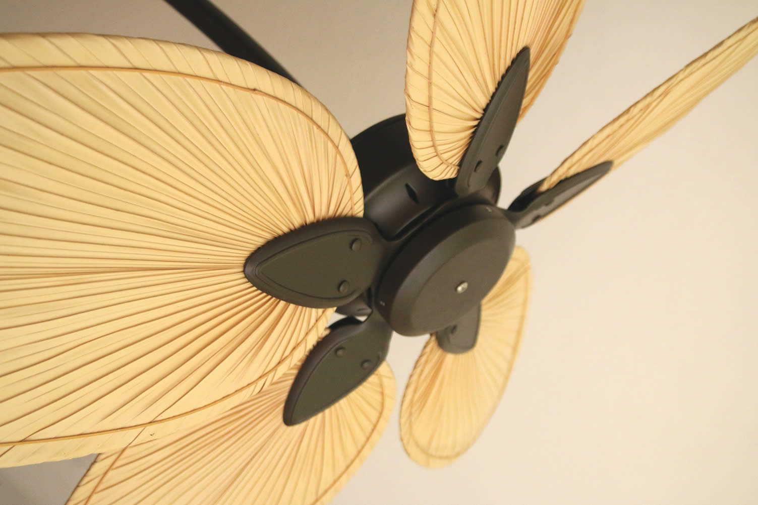 stylish ceiling fans