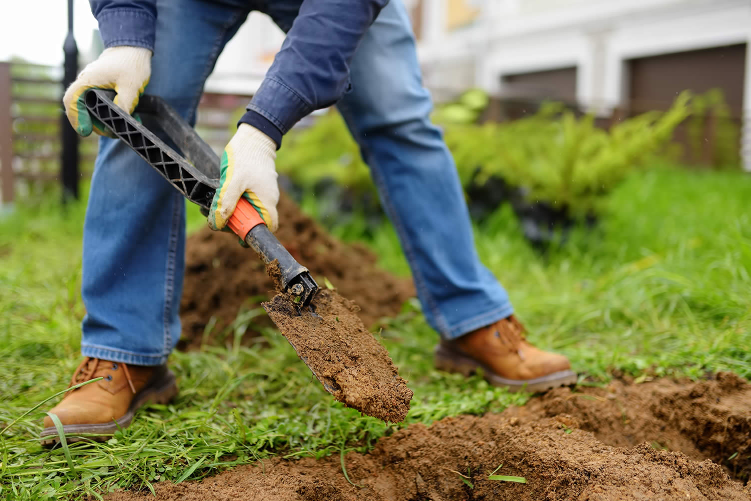 how to grow a plant garden