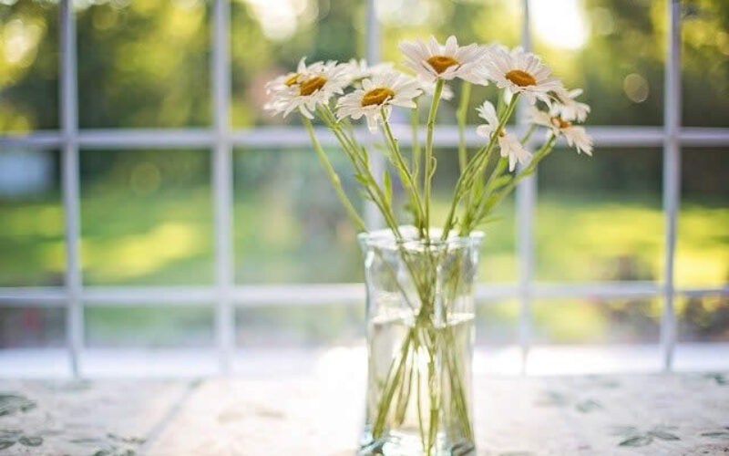 Beautiful Window