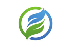 Living in a More Eco-Friendly Home in 4 Easy Steps