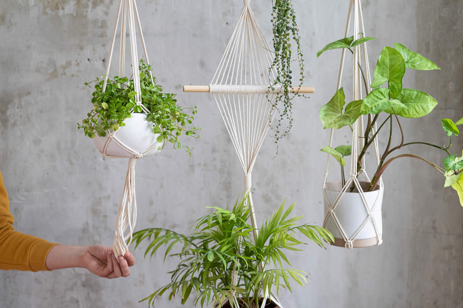 green home