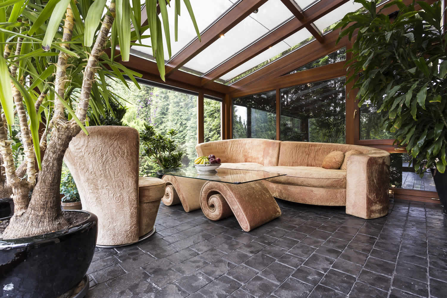 using houseplants in home decor
