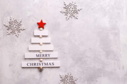 The Christmas Tree Evolution: From Birth to Something Beautiful