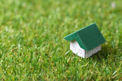 Best Spring Projects for Your Home
