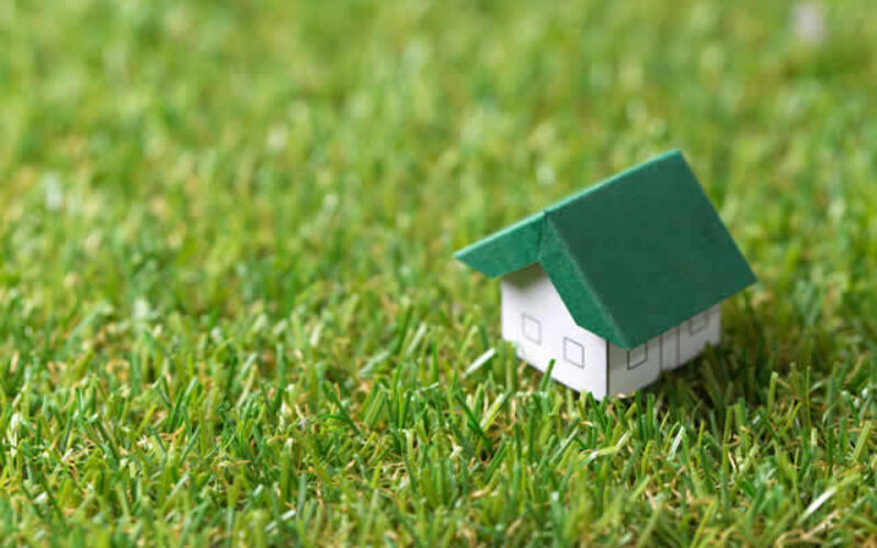 Best Spring Projects for Your Home